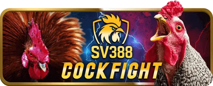 Chính sách cờ bạc có trách nhiệm của win666 trang chủ chính thức, bảo vệ người chơi